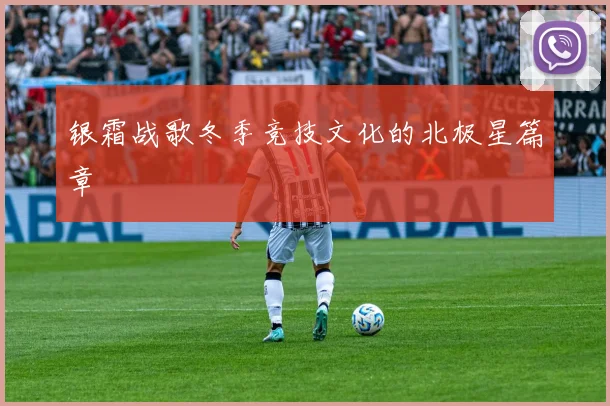 银霜战歌冬季竞技文化的北极星篇章
