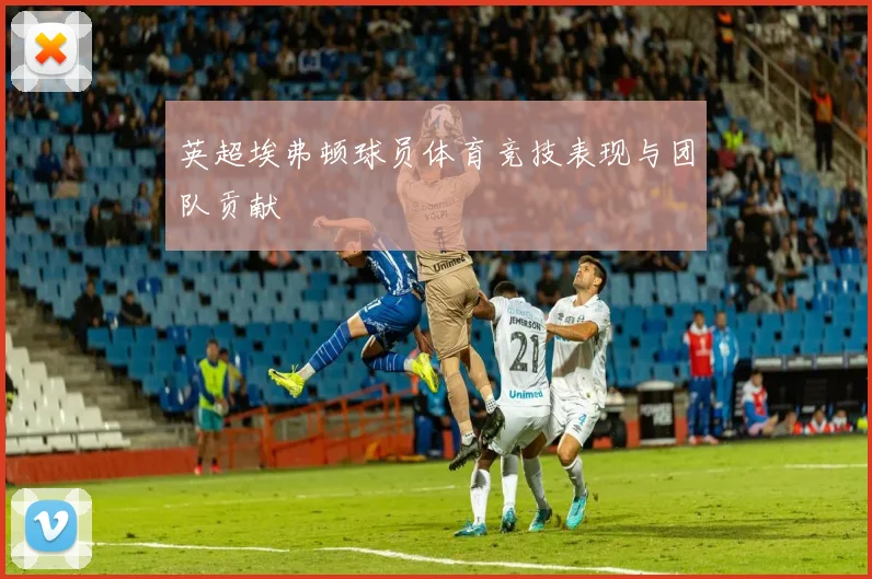 英超埃弗顿球员体育竞技表现与团队贡献