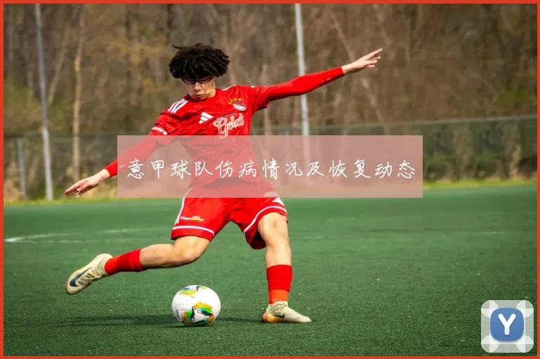 意甲球队伤病情况及恢复动态